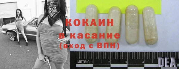 мяу мяу мука Баксан