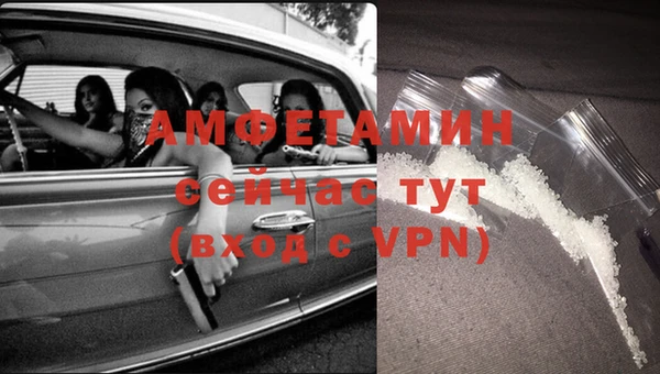 стаф Балахна