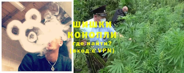 стаф Балахна