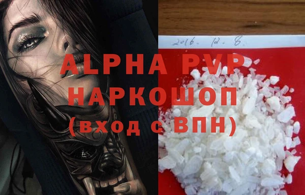 стаф Балахна