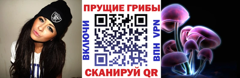 Псилоцибиновые грибы Psilocybine cubensis это наркотические препараты Покачи наркота